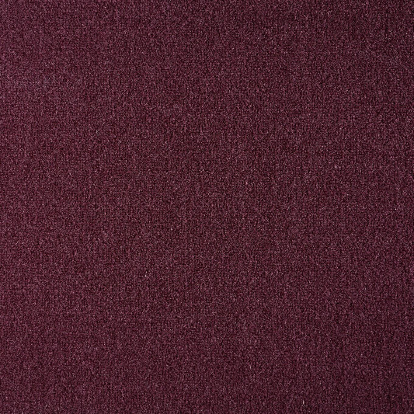 Image of ABETONE VIOLA