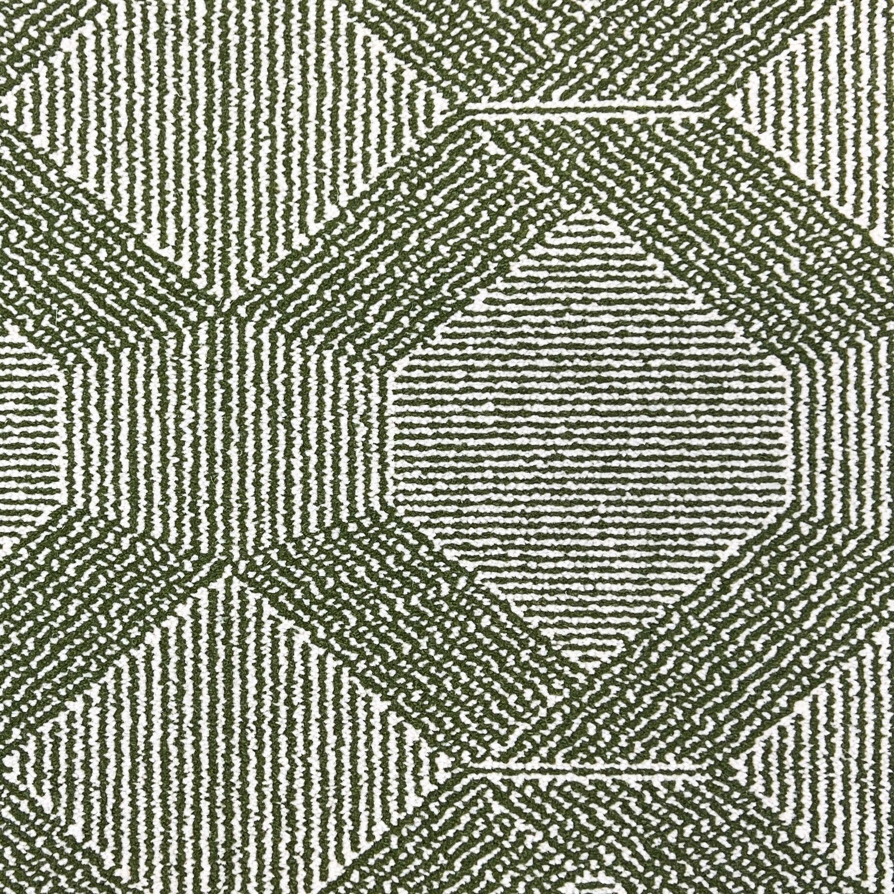 Image of SAVANNAH HUE FERN