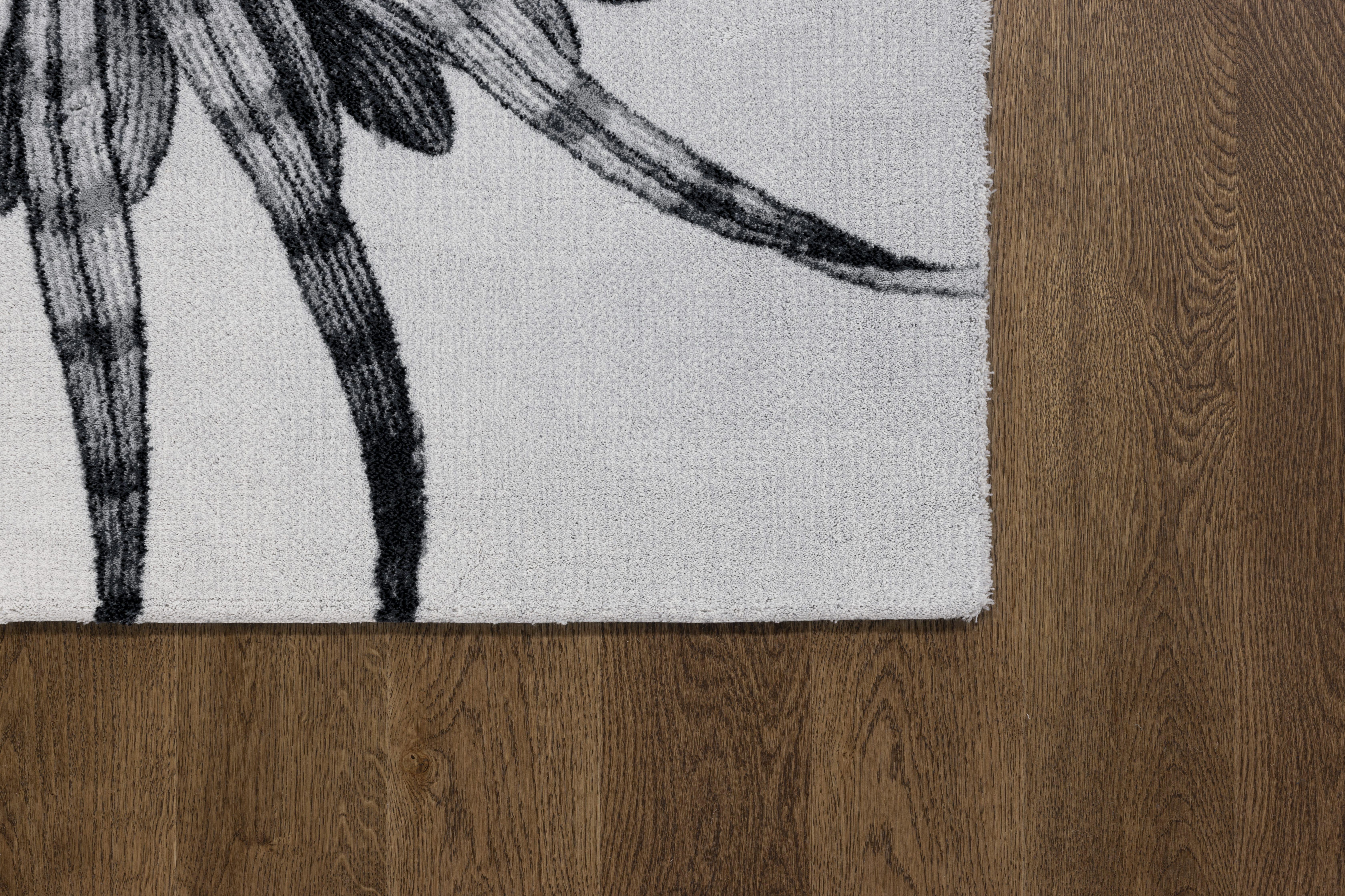 2nd image of TALWIN GREY