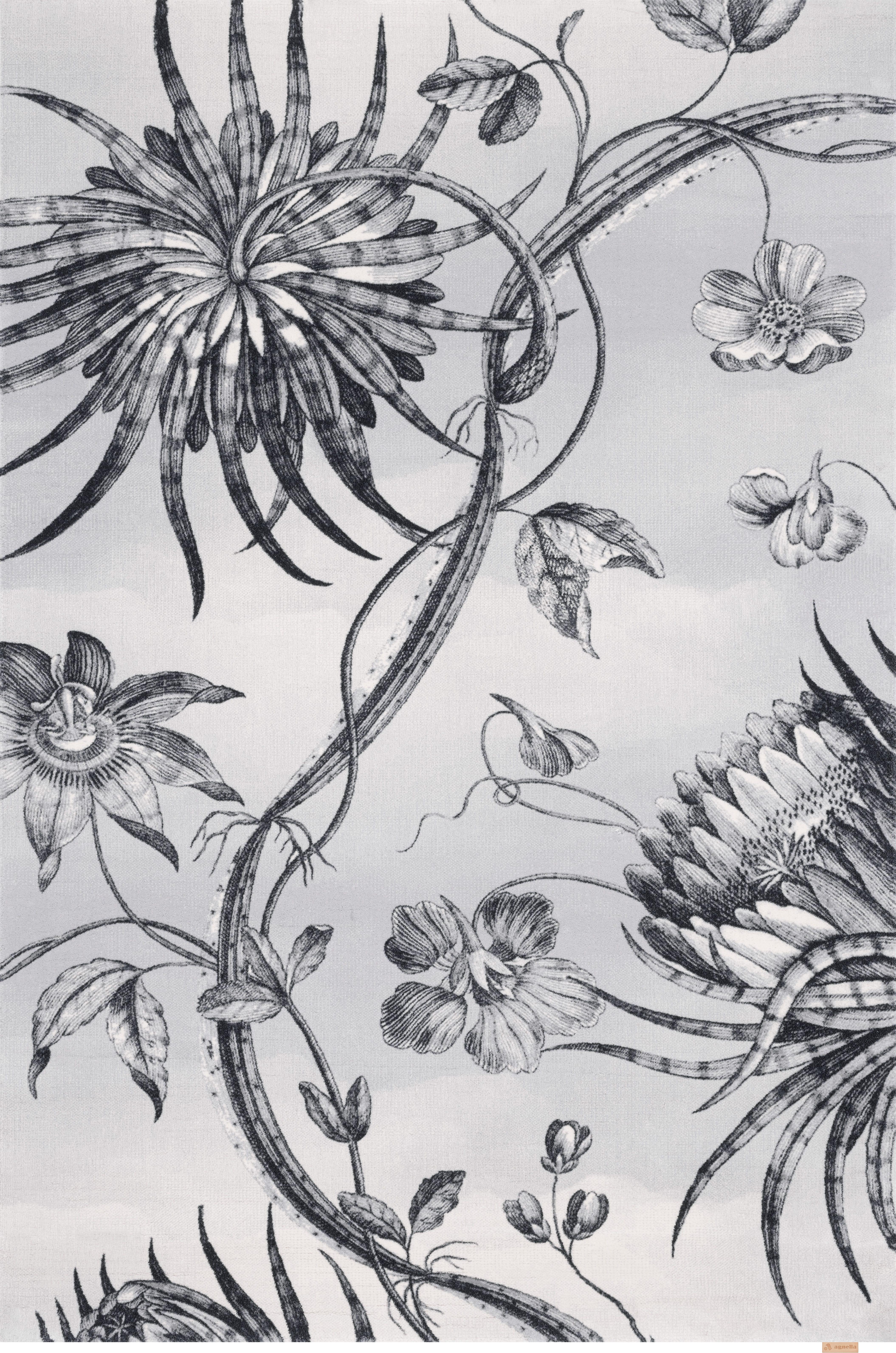 1st image of TALWIN GREY