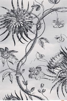 Image of TALWIN GREY