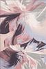 1st image thumbnail of ANYL ALABASTER