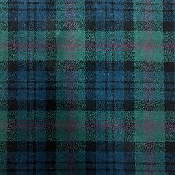 Image of TARTAN BAIRD