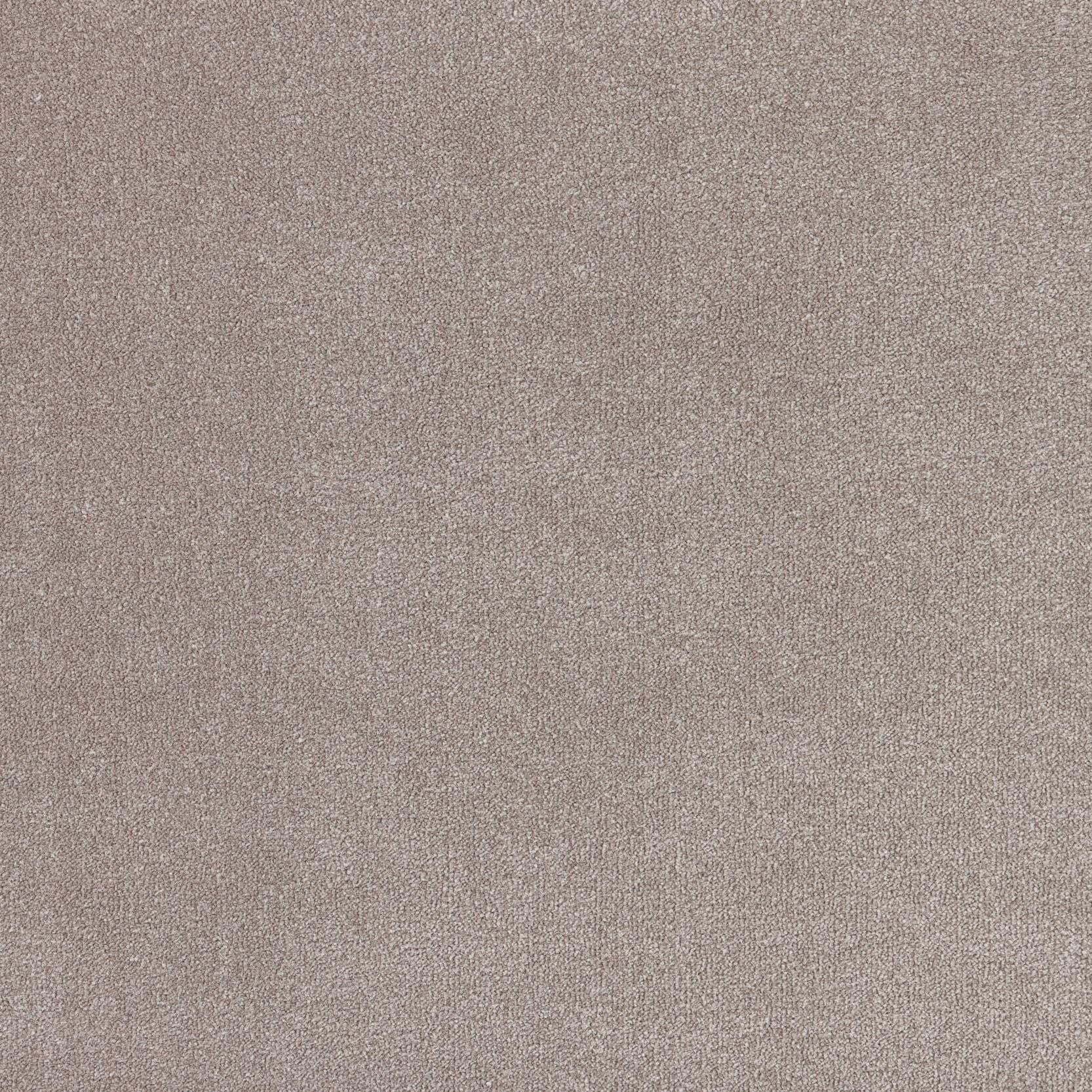 Image of LEIDEN COBBLESTONE
