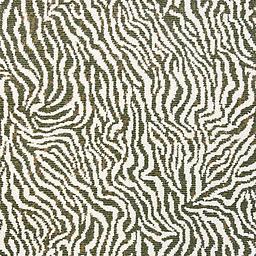 Image of ZEBRINE FERN