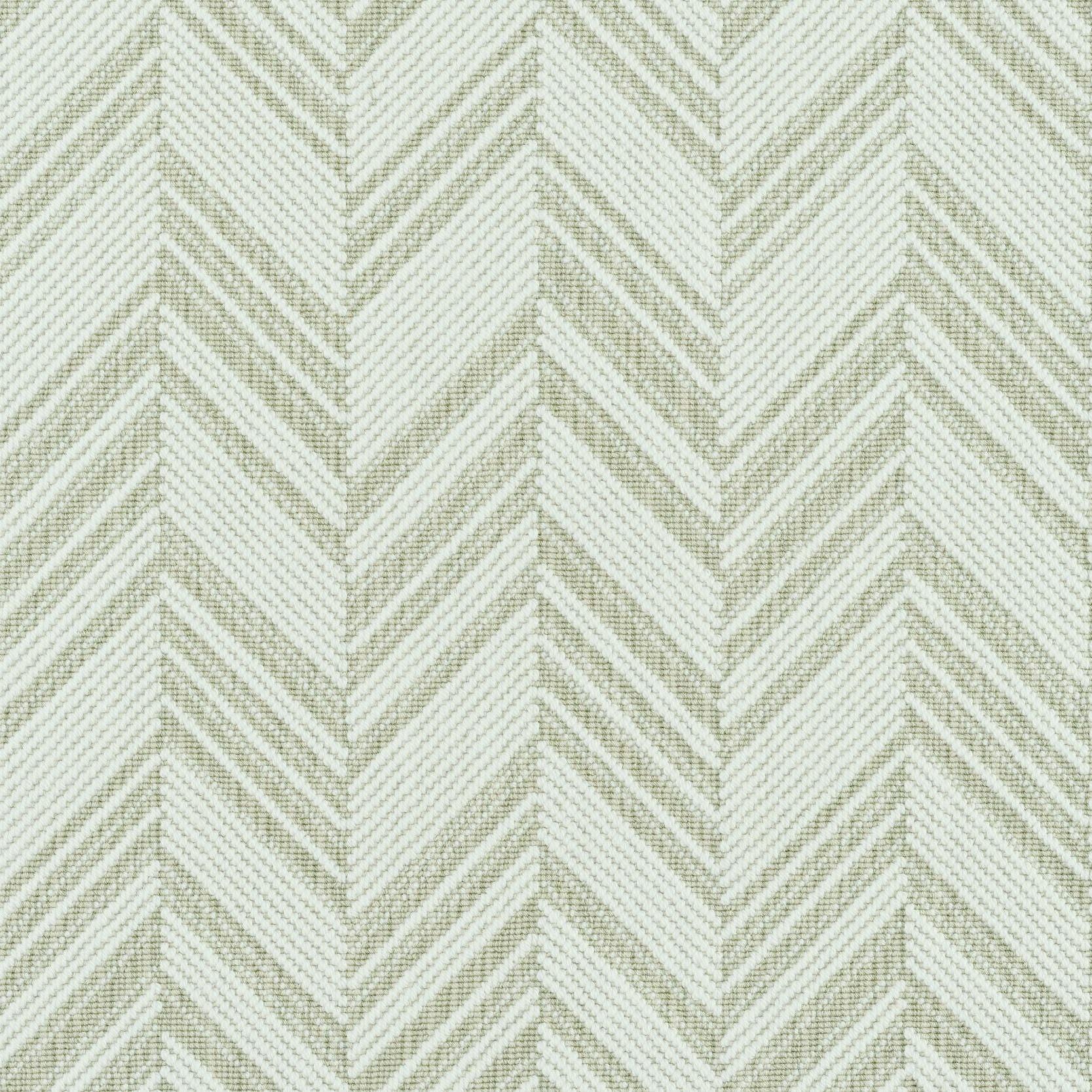 Image of JORDELLE LICHEN