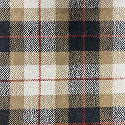 Image of TARTAN BUSBY