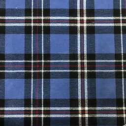 Image of TARTAN DRESS RANGERS