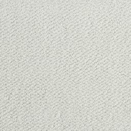 Image of TYLA SNOW