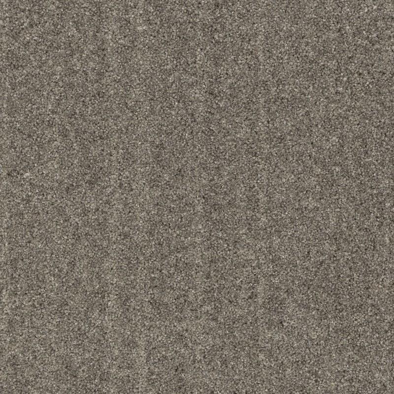 Image of PURELY NATURAL TWIST STIPERSTONES FOSSIL