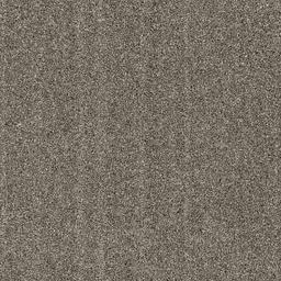 Image of PURELY NATURAL TWIST STIPERSTONES FOSSIL