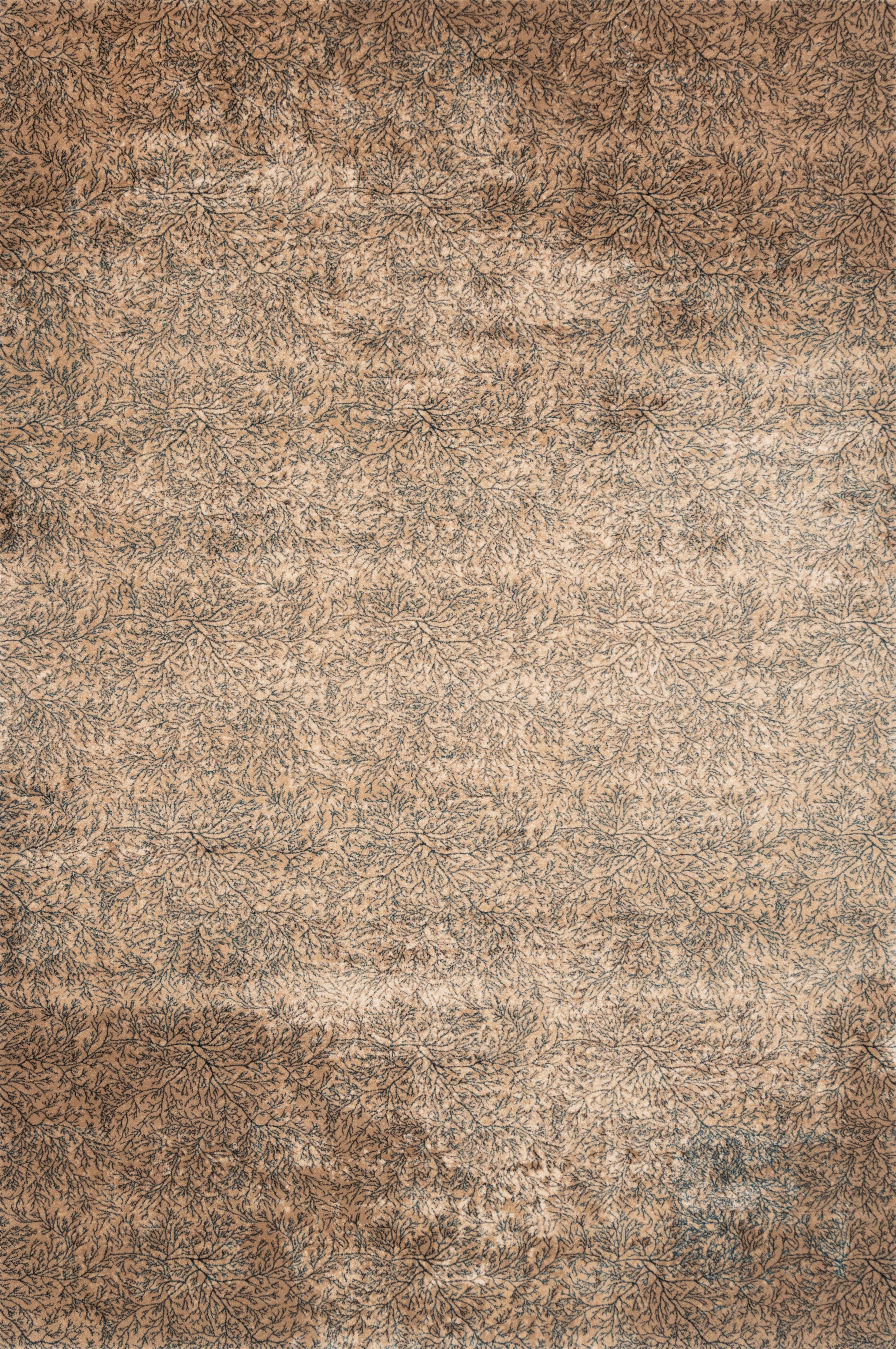 1st image of CORAIL LIGHT BEIGE