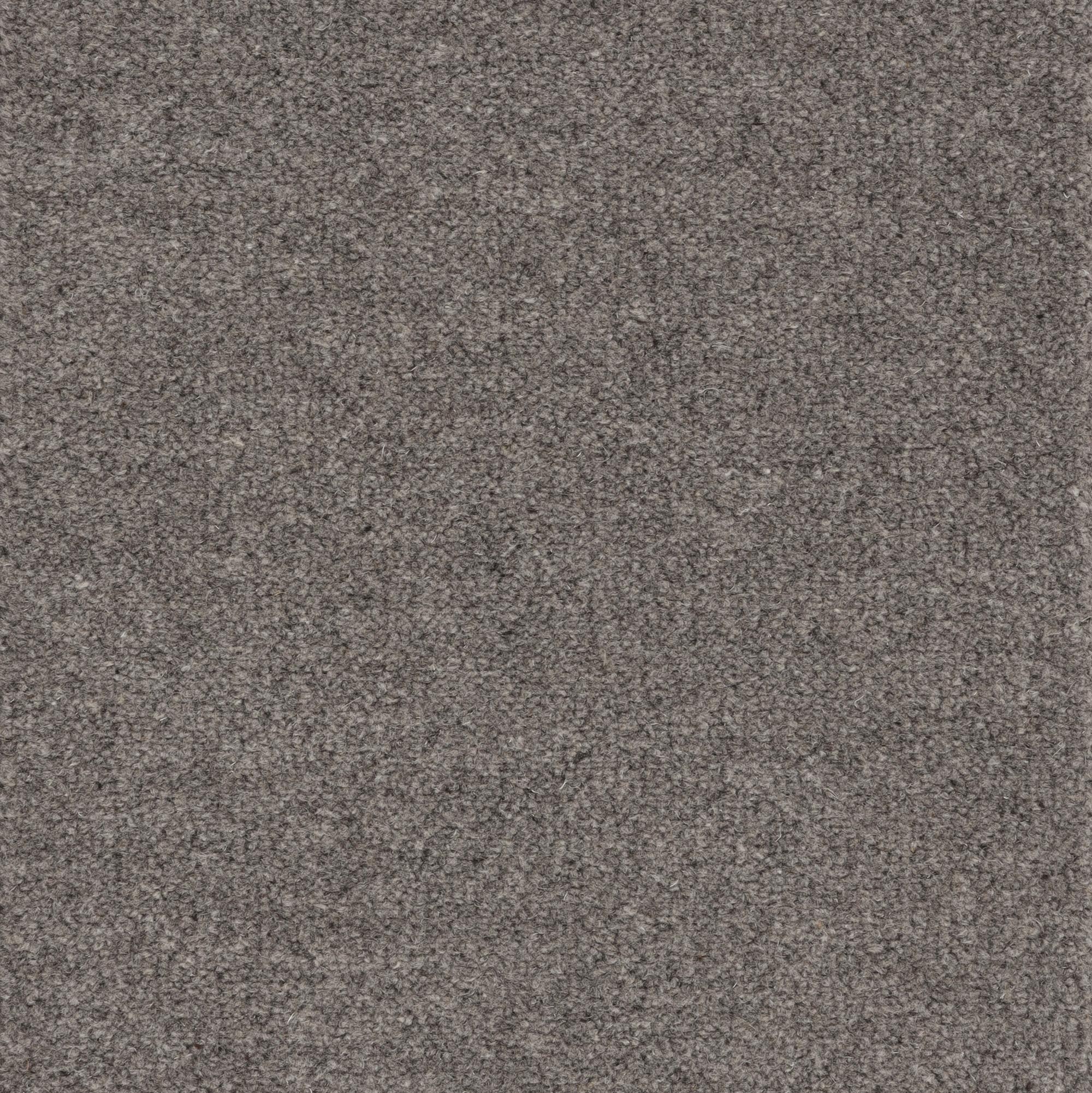 Image of PURELY NATURAL CHROMA STIPERSTONES FOSSIL