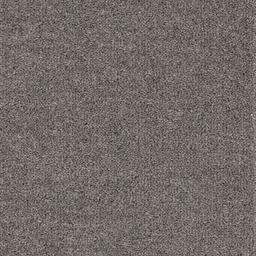 Image of PURELY NATURAL CHROMA STIPERSTONES FOSSIL