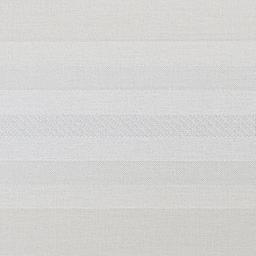 Image of SCIA WHITE
