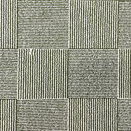 Image of BASKET WEAVE FERN