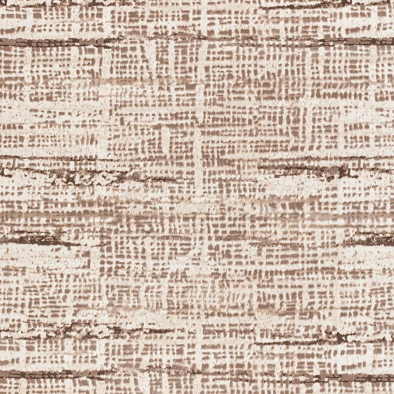 Image of DELMY FOSSIL