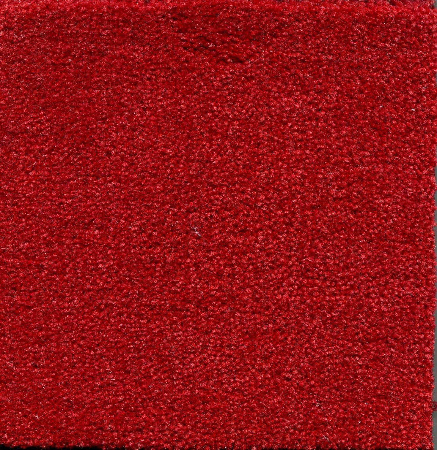 Image of ADMIRAL CARDINAL