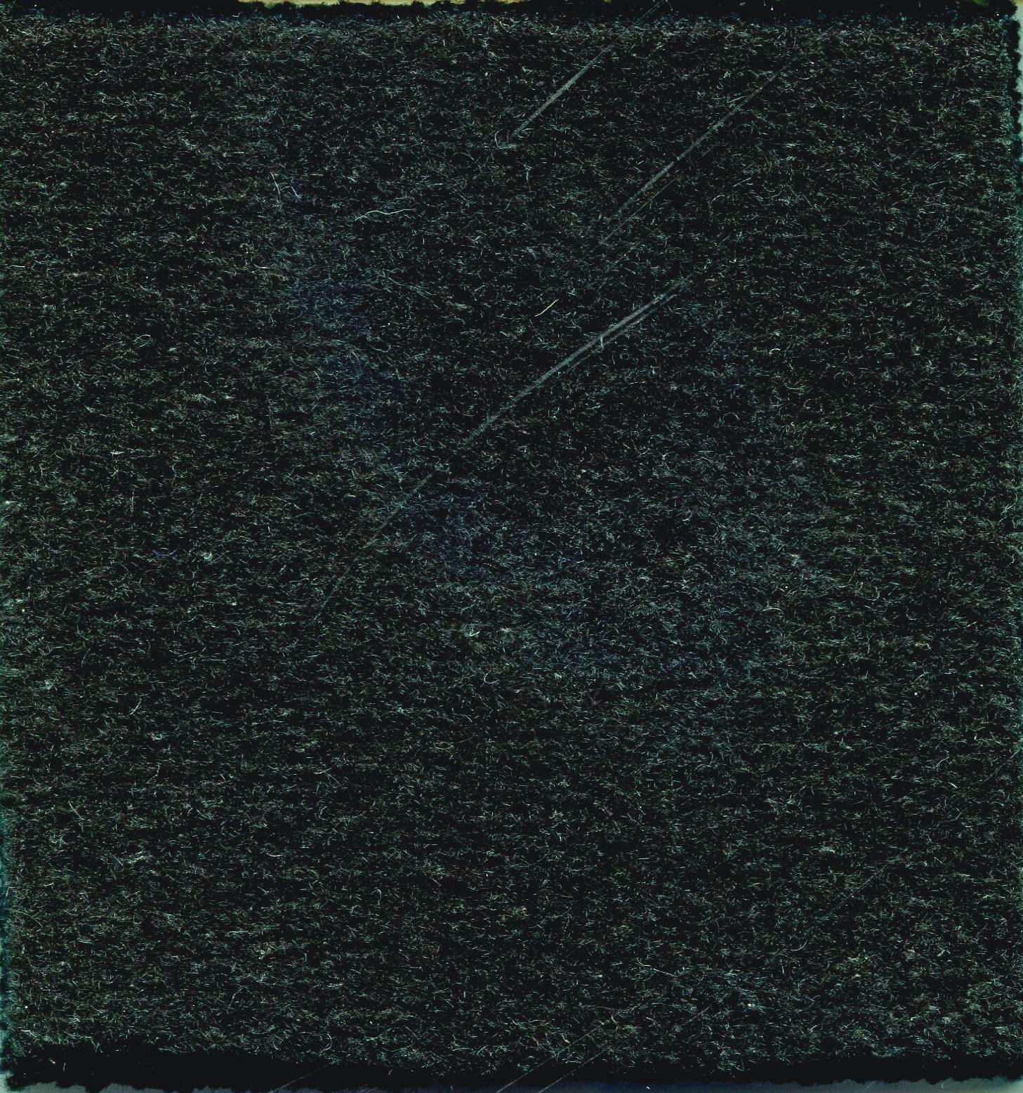 Image of ADMIRAL CYPRESS