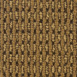 Image of MARQUESS GOLDENROD