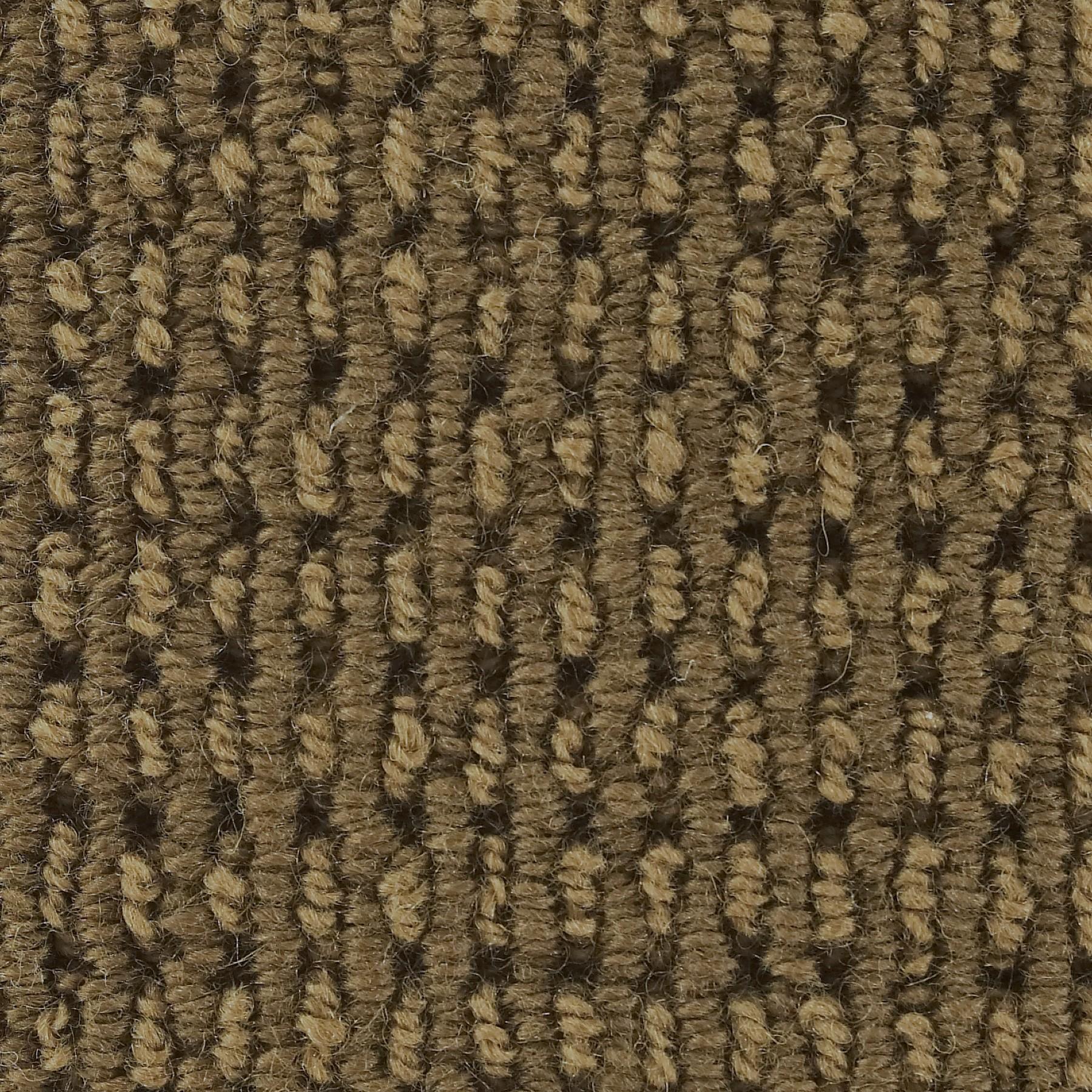 Image of MARQUESS NUTMEG