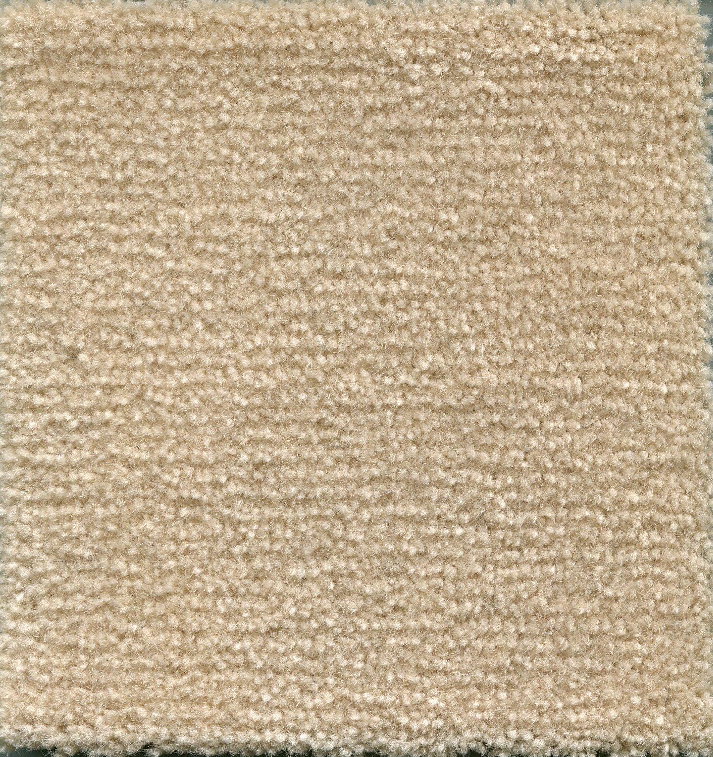Image of ADMIRAL NOUGAT