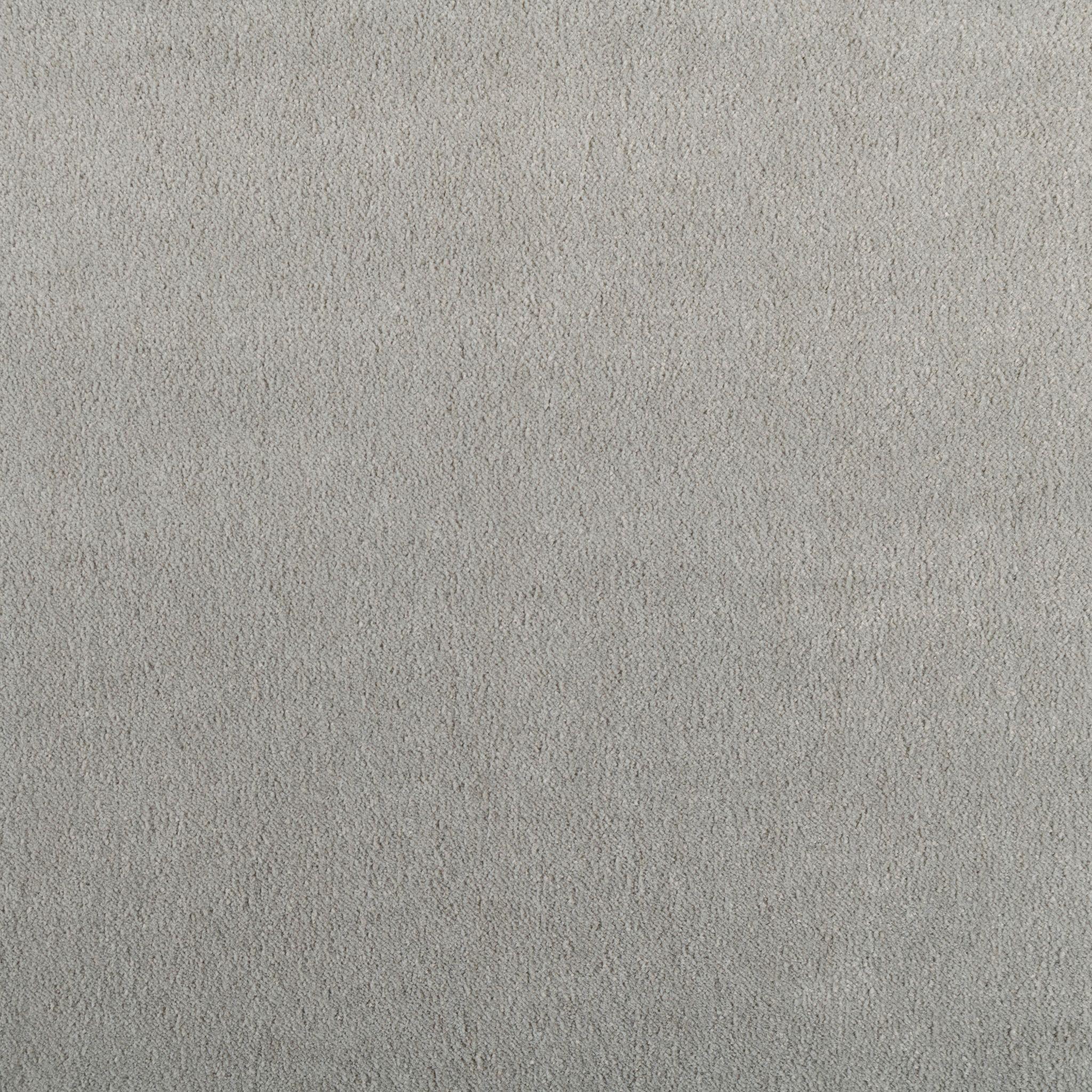 Image of ANARI DOVE