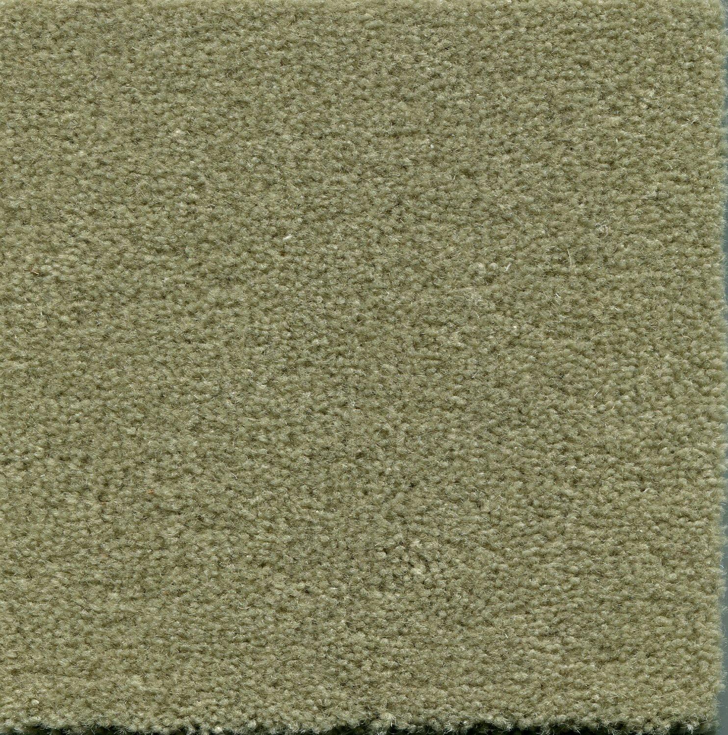 Image of ADMIRAL WILLOW