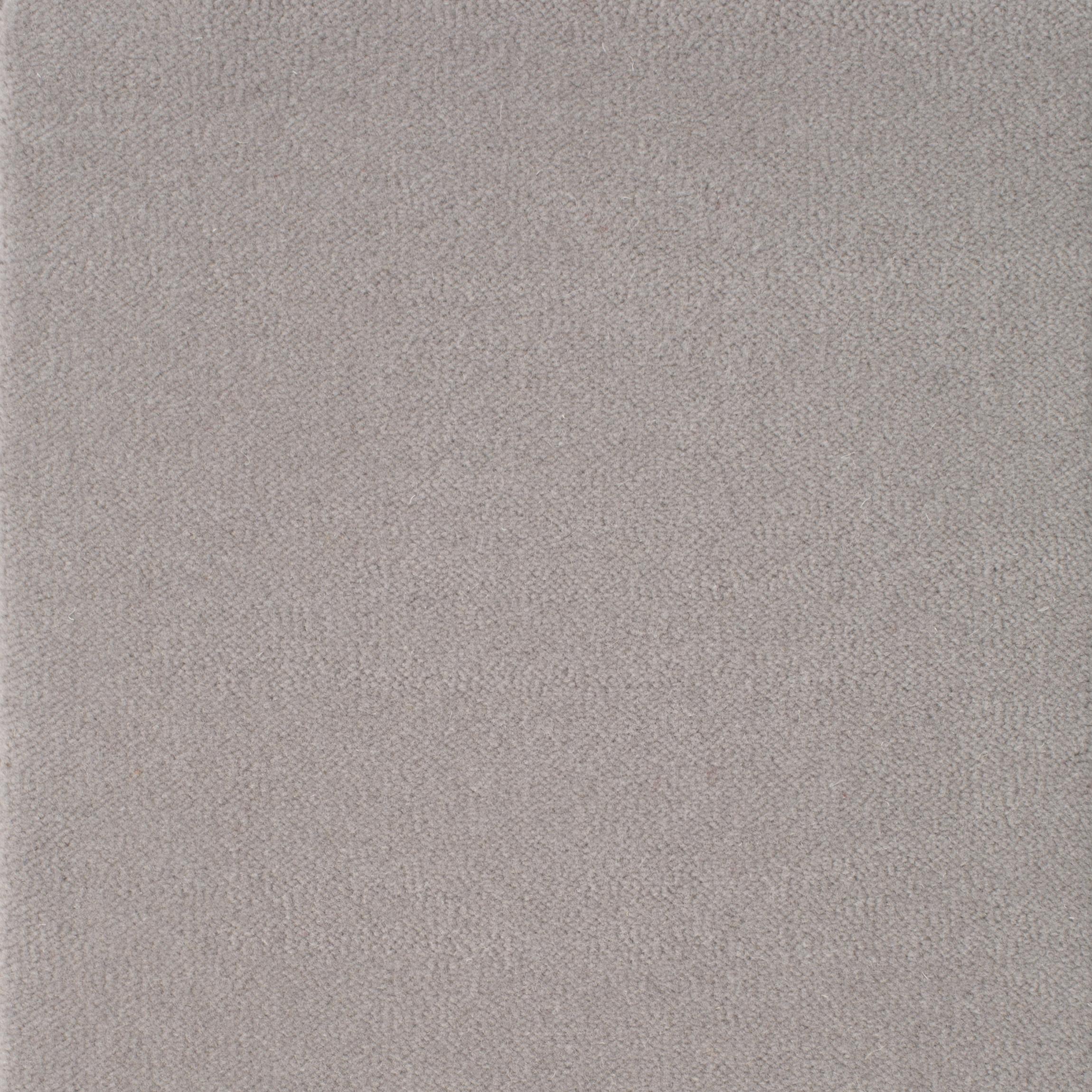 Image of VELVET ALICE SILVER