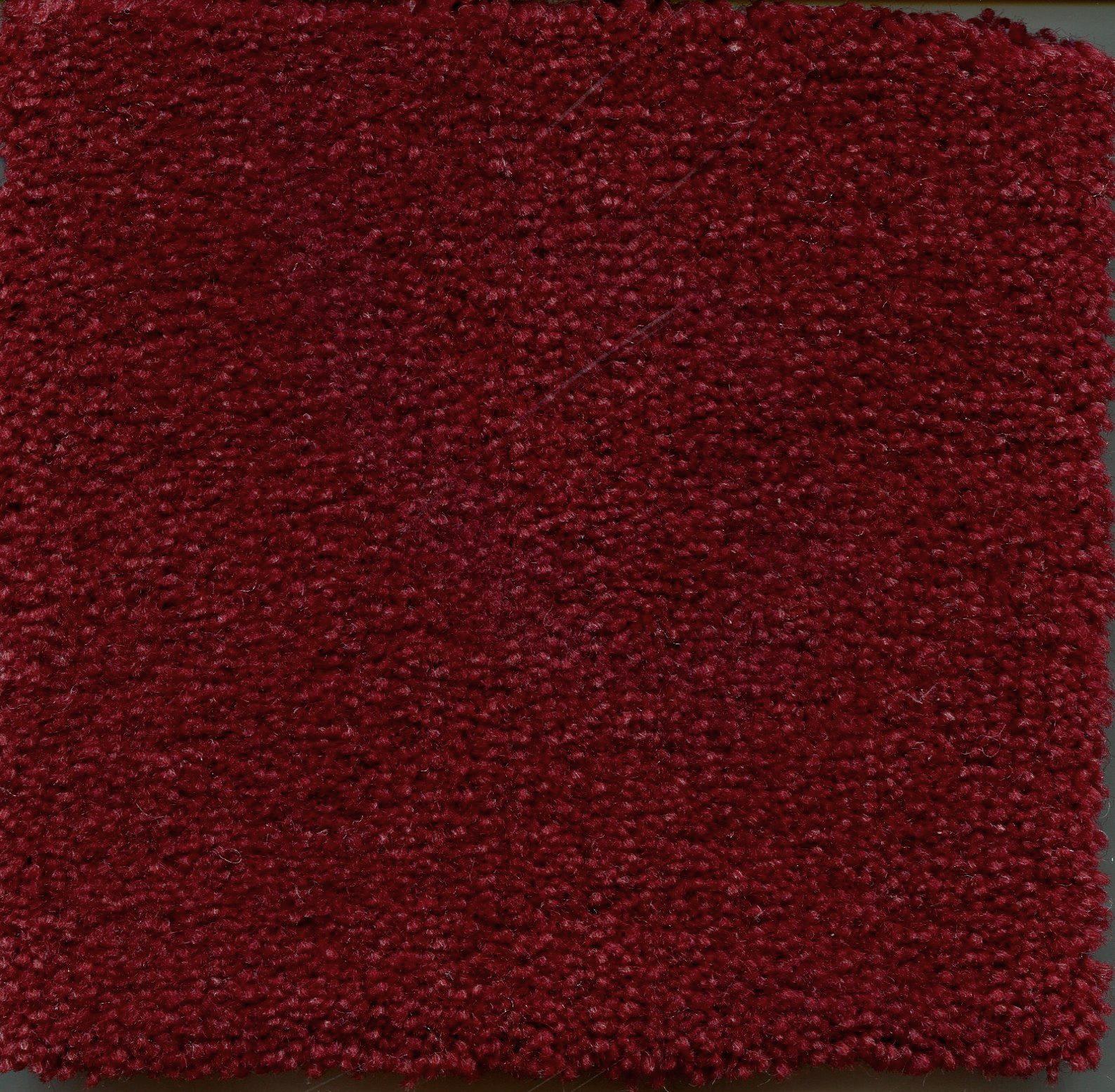Image of ADMIRAL RUBY