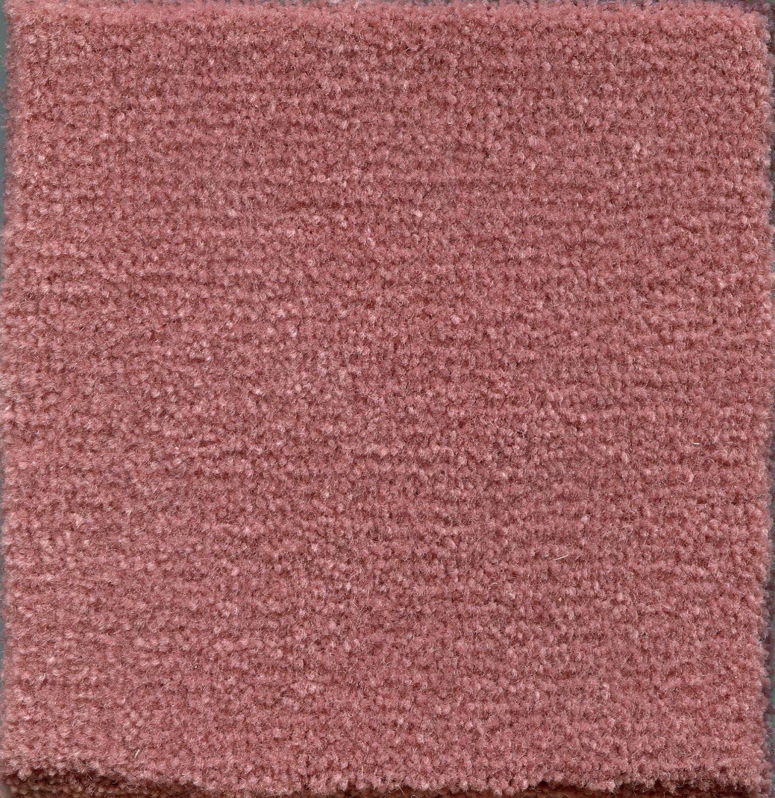 Image of ADMIRAL SHELL PINK