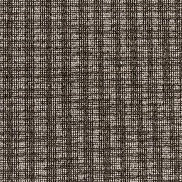 Image of DIVERSITY STEAM COAL