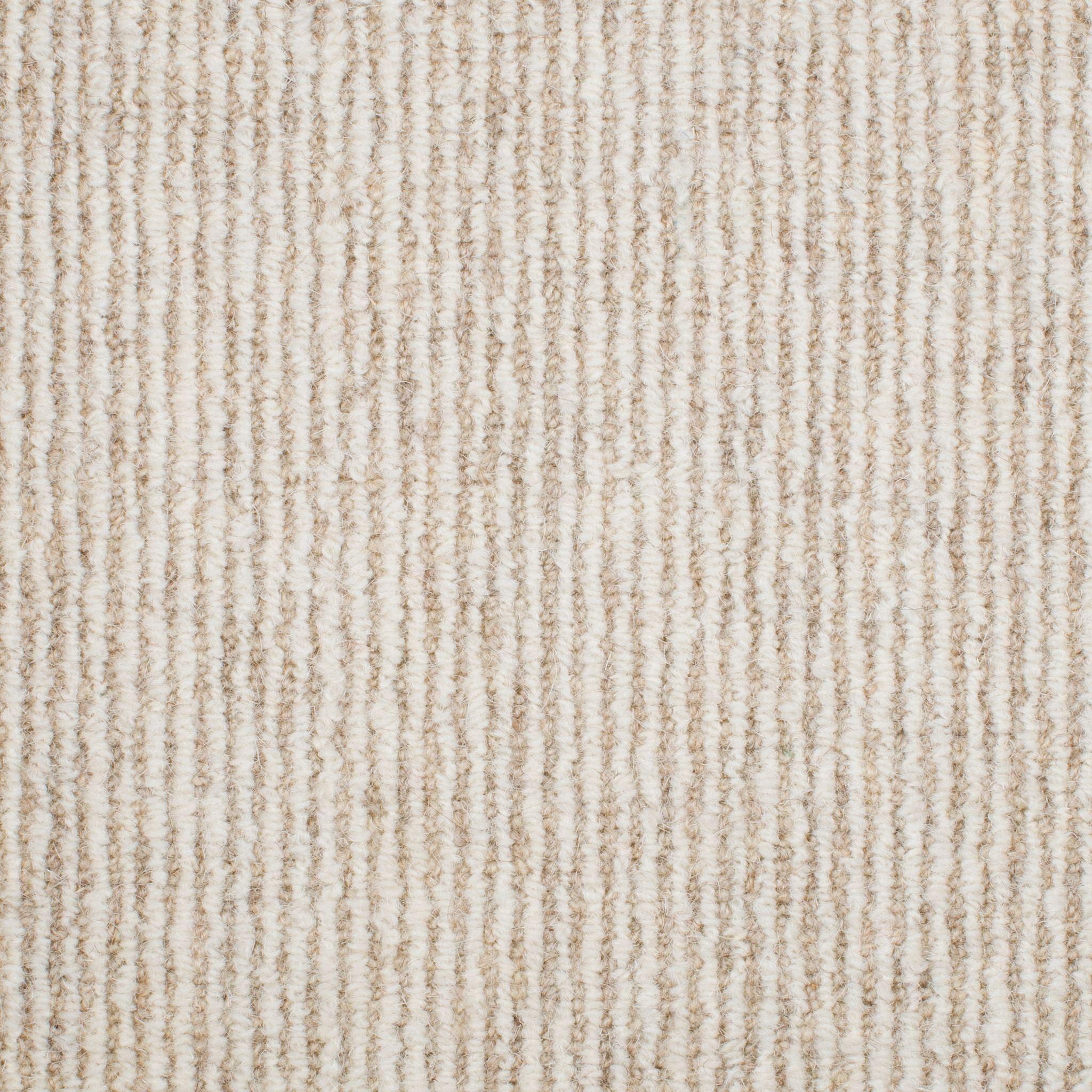 Image of LACY SAND DOLLAR
