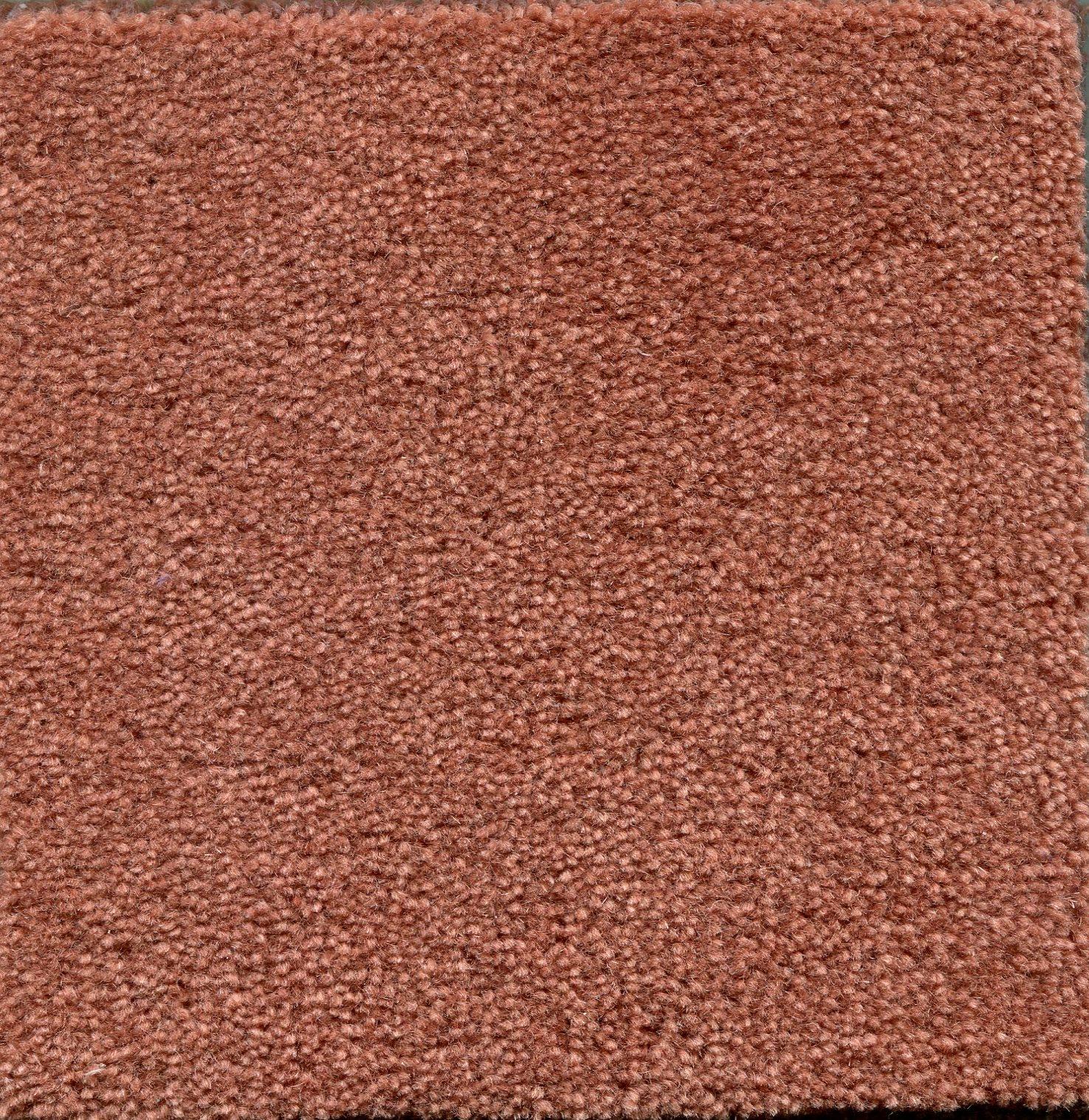 Image of ADMIRAL TERRACOTTA