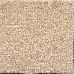 Image of ADMIRAL WARM BEIGE