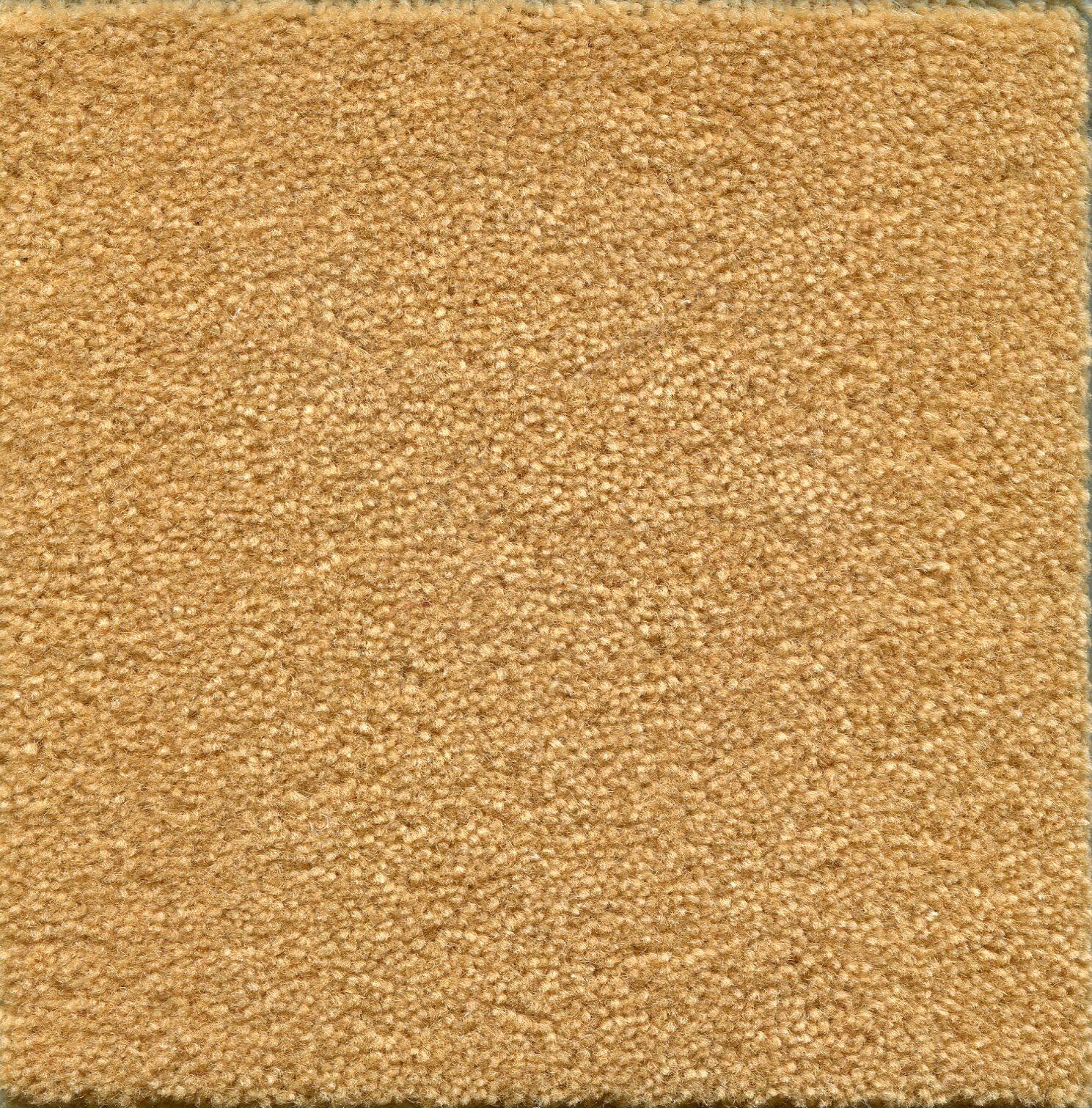 Image of ADMIRAL WHEAT