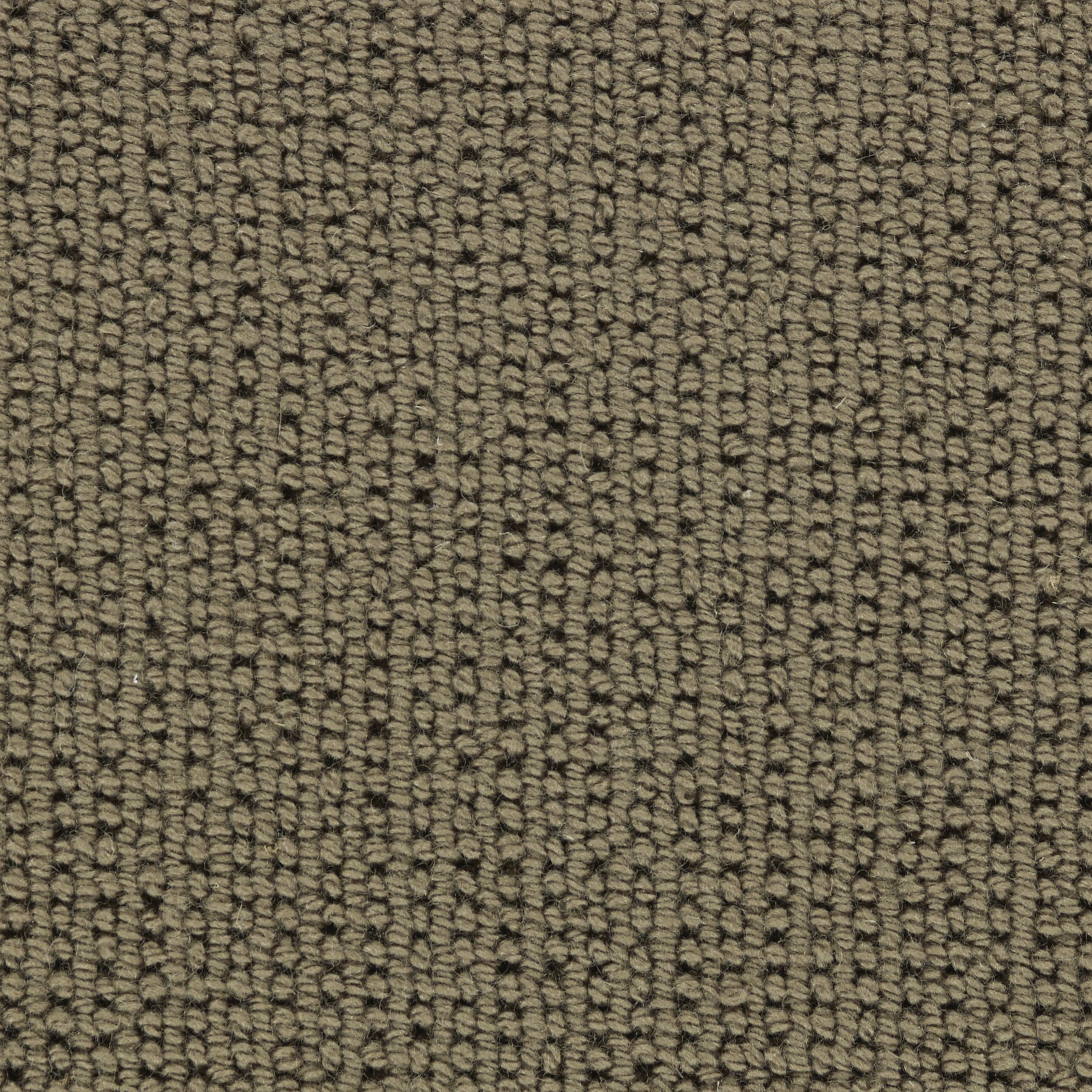 Image of MATRIX SAGEBRUSH