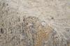 2nd image thumbnail of JESLYN TAUPE