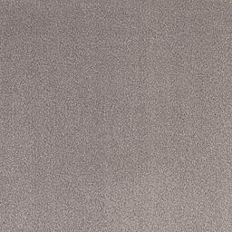 Image of LEXUS SILT