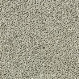 Image of ALLURE KHAKI