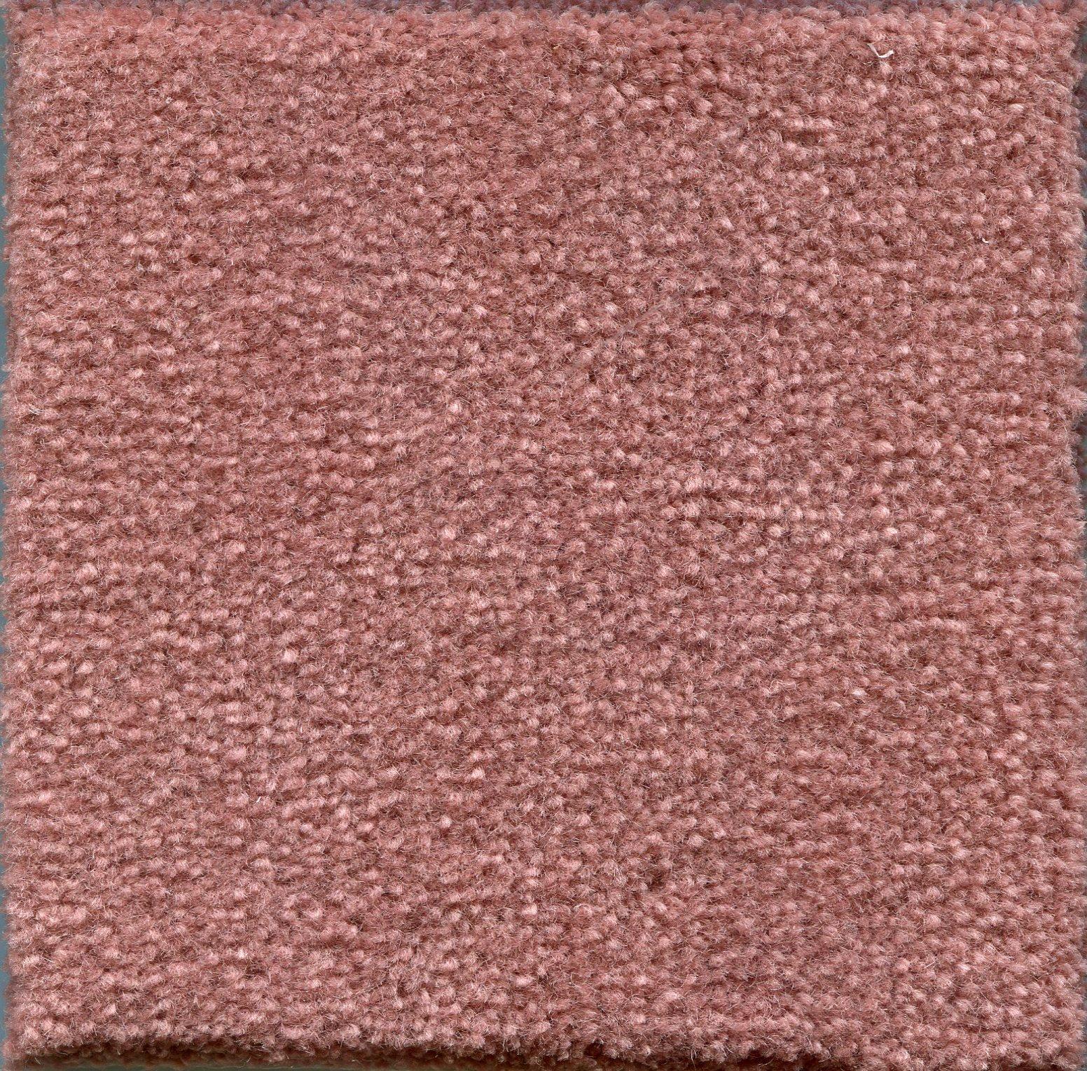 Image of MONTE CARLO SHELLPINK