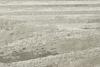 3rd image thumbnail of REMY SAND