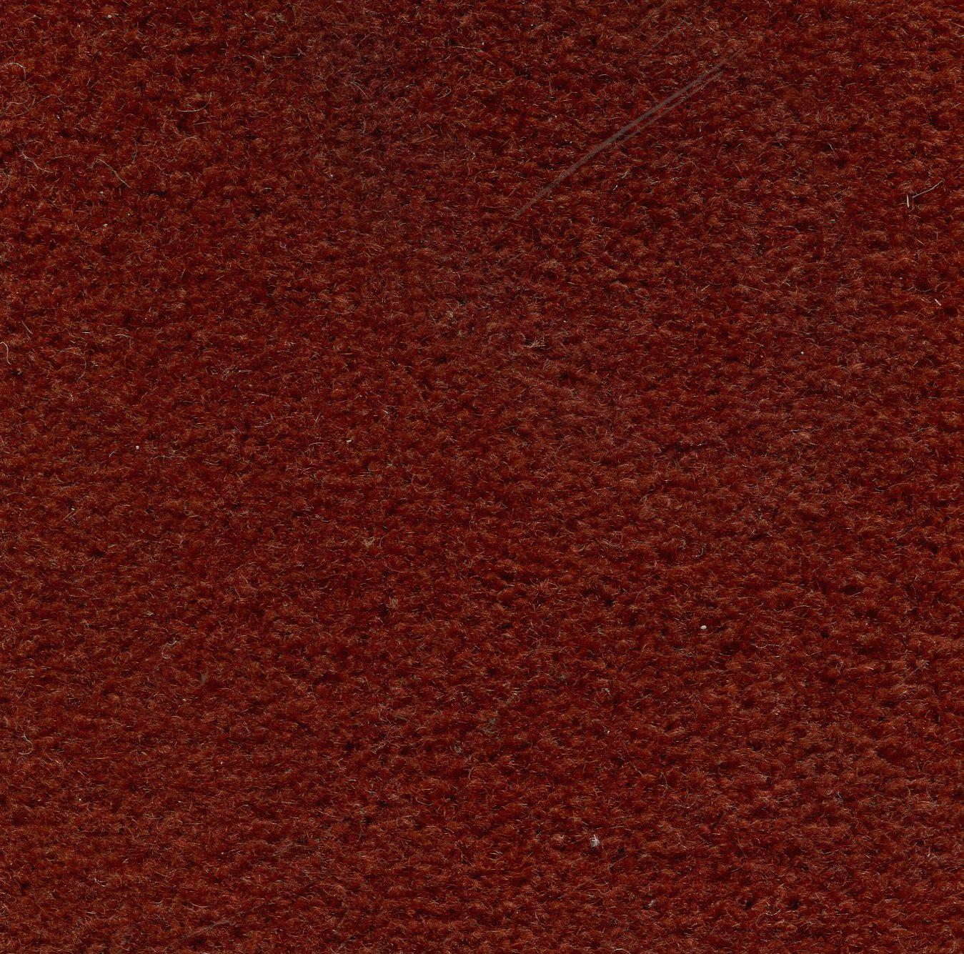 Image of MONTE CARLO FIREFLY