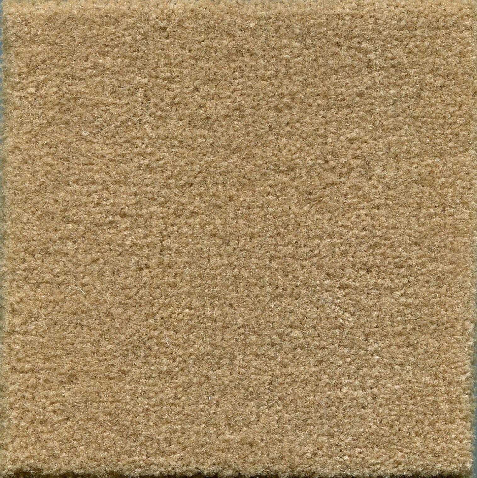 Image of MONTE CARLO STRAW