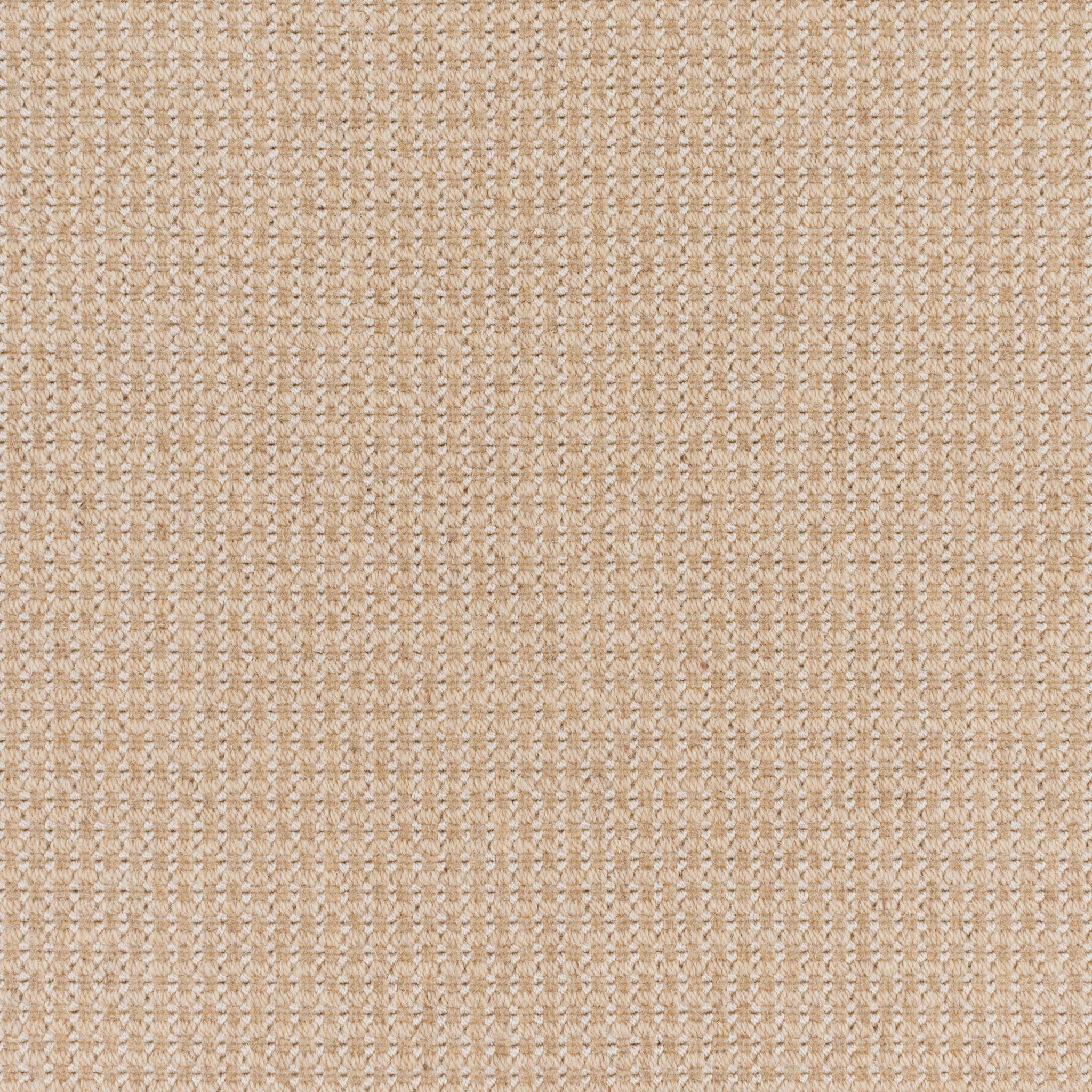 Image of SCHILLER CAMEL