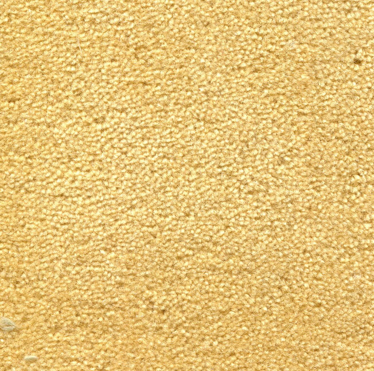 Image of MONTE CARLO PRIMROSE