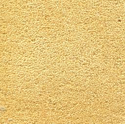 Image of MONTE CARLO PRIMROSE