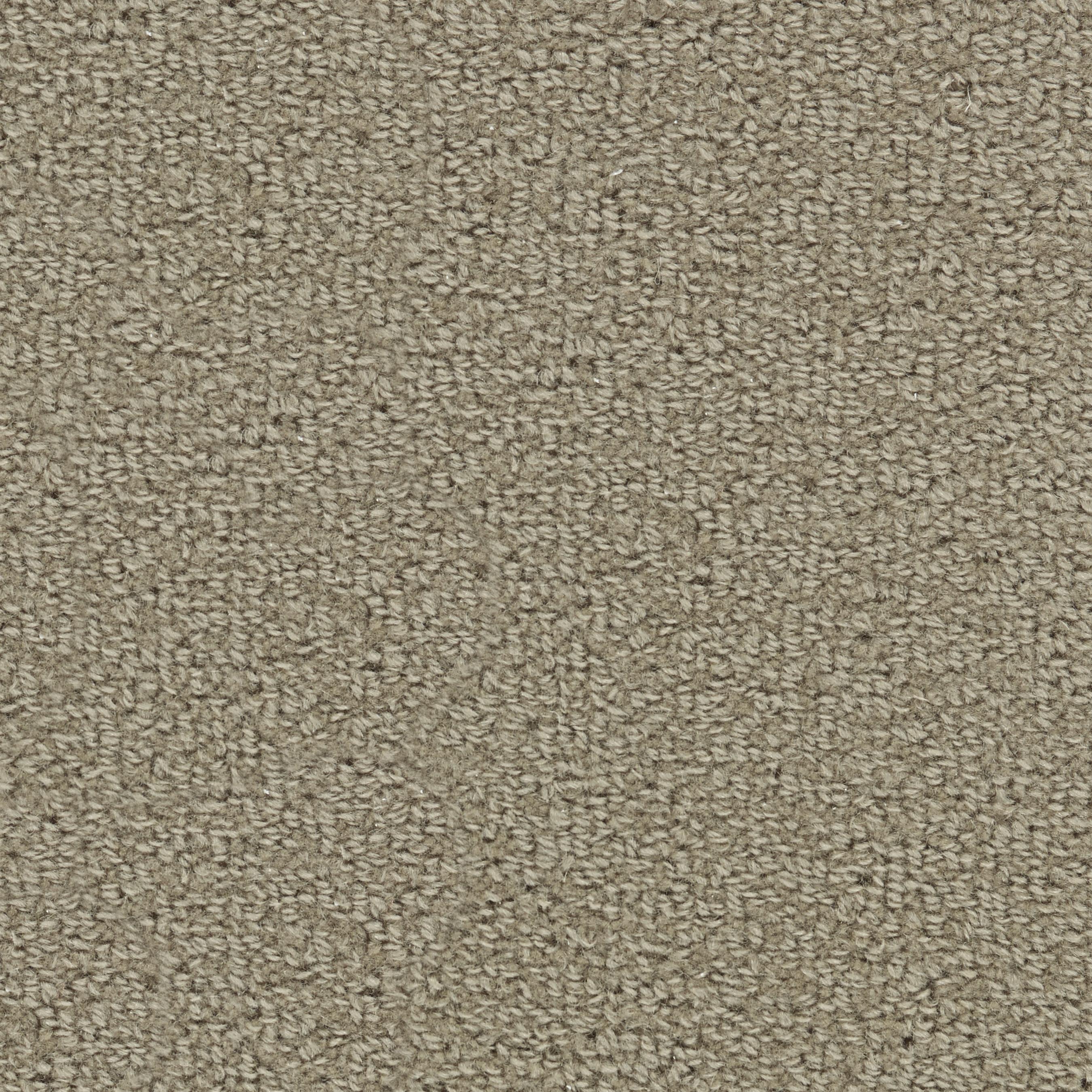Image of WOOL TIP SHEAR 2 RAW SUGAR
