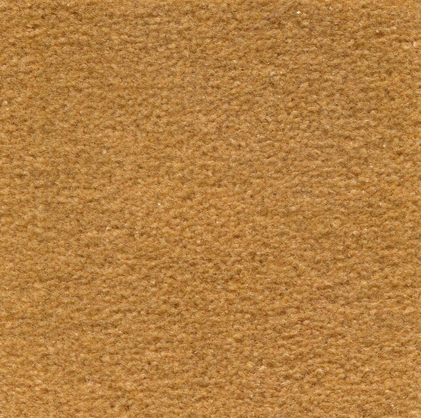 Image of MONTE CARLO WHEAT