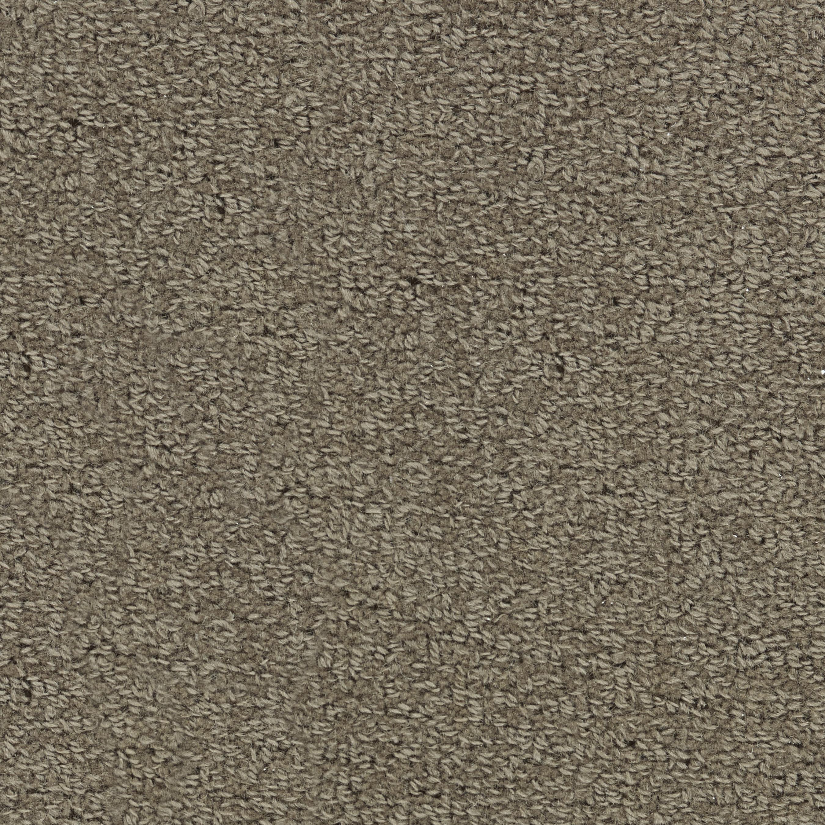 Product Image for WOOL TIP SHEAR 2 SUEDE